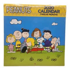 2020 PEANUTS 12 months WALL CALENDAR Sealed Snoopy & The Gang, BRAND NEW