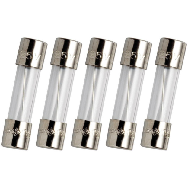 GDC 2A(GDC-2A) 250v Slow-Blow Glass Fuses, T2A 2 amp, Pack of 5
