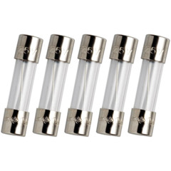 GDC 2A(GDC-2A) 250v Slow-Blow Glass Fuses, T2A 2 amp, Pack of 5