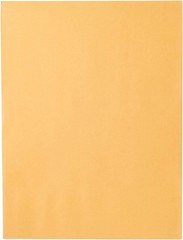 10″ x 13″ Clasp Envelopes in Brown Kraft – 15 Pack of Security