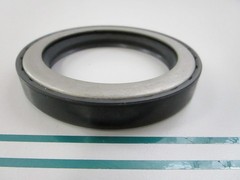 NEW LP100-H2048 For: LPM Total Source Oil Seal 0810
