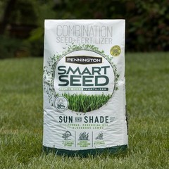 Pennington Smart Seed Sun and Shade Grass Mix 20 lb, Black Label 20 lb