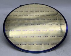 LOT OF 13 200mm Silicon Wafer disks, Gold Exposed Disk for Art, Science, Novelty
