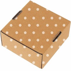 25 Pack Small Shipping Boxes – Corrugated Cardboard Mailers, Gift & Craft Pac…