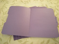 File Folders 10 Pack PURPLE 8.5 x 11 Inch 1/3 Cut gently used