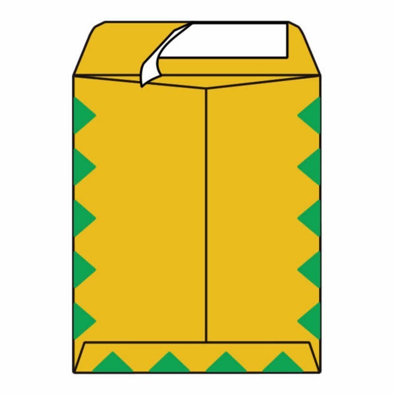 Open End First Class Catalog Envelopes, 10″ x 13″, 28#, Green Diamond Border,