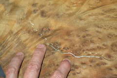Camphor Burl Raw Wood Veneer Sheet 12 x 12 inches 1/42nd thick 4672-81