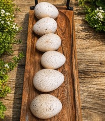 6 Heritage Breed Turkey Hatching Eggs. Please See Item Description For Breeds