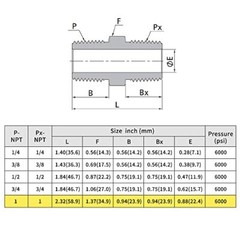 U.S. Solid 1pc Stainless Steel Pipe Fitting Hex Nipple MNPT 1″ x MNPT 1″