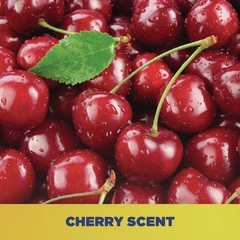 Zep Commercial 95124EA 1 gal. Bottle Cherry Bomb Hand Cleaner – Cherry Scent New