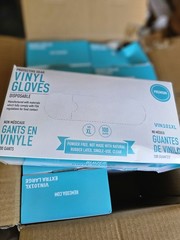 1000 Vinyl Gloves XL Disposable Glove Bluezen 10 box X 100