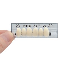 168Pcs/Box Acrylic Resin Denture #23 Dental Upper Lower Shade A2 Teeth Set US