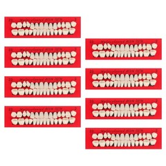 224 PCS Acrylic Resin Fake Teeth Complete Acrylic Resin Denture Dental Teeth …