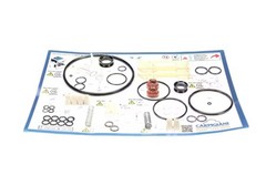 Carpigiani IC193-010338 Caripicare Kit 3/E – 6 Months