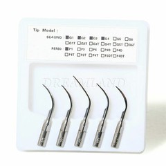 Dental Scaler Ultrasonic Piezo & 2*Bottles fit EMS Woodpcker Handpiece tips xm.