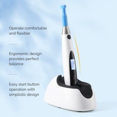 Dental Cordless Hygiene Prophy Handpiece Brushless Motor +2Pcs Prophy Angle