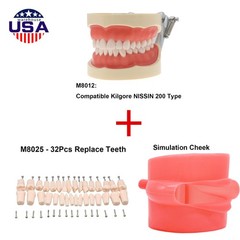 Dental 200 Type Typodont Model With Removable Teeth fit Kilgore NISSIN M8012