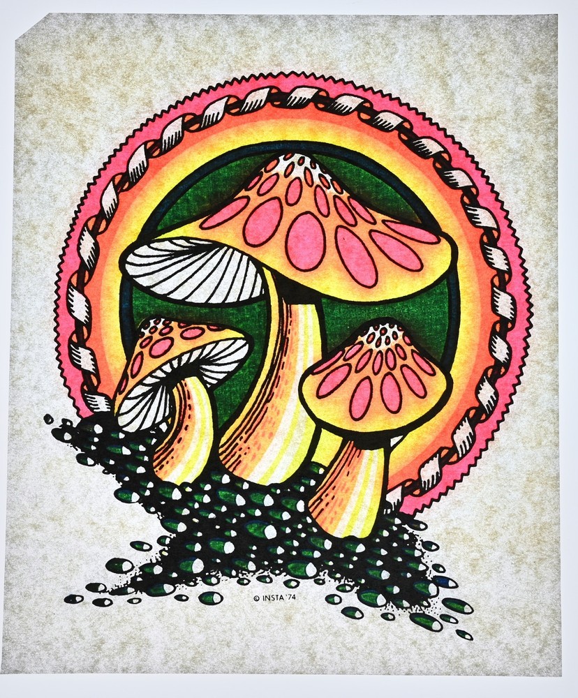 Original VINTAGE 1970s Heat Transfer | Psychedelic Mushroom Fantasy Art