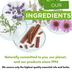 Under The Gums Irrigant Solution – Alcohol-Free, Vegan Herbal Solution for Wa…
