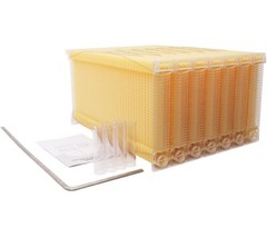 Cedar Wood Auto Bee hive Brood Box 7X Auto Honey Comb Beehive Frames Beekeeping