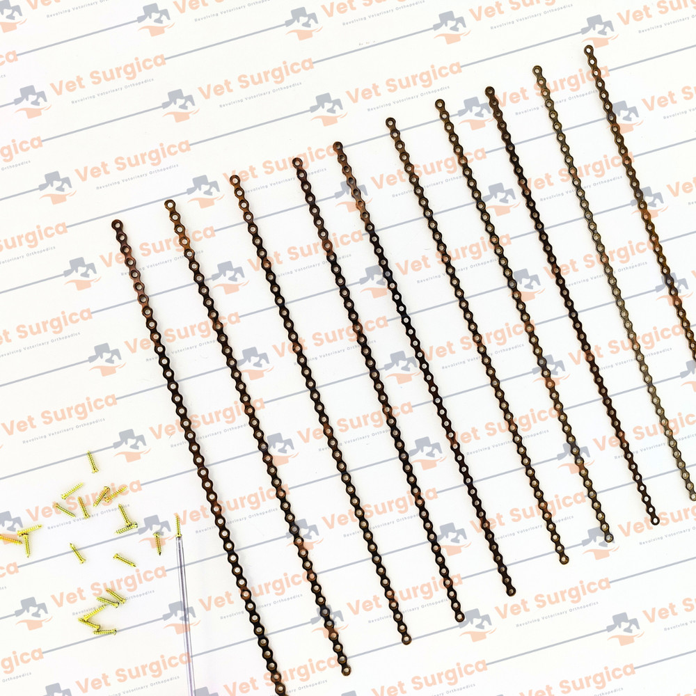 2.0mm Maxillofacial Mini Plates 40Holes With Cross Head Screw 81Pcs Set Ti