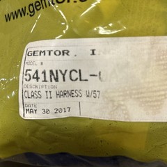 Firefighter Gemtor 541Nycl-0a Rescue Harness, Nylon