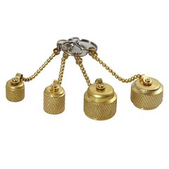 Pro-Set Avcvac Access Valve Cap, Brass, 4 1/2 In L