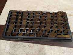 Complete Set of Brass Unknown Brand/Model Cursive Font Engraving Type