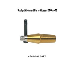 US Titanium Straight Abutment Hex For Hiossen ET Osstem TS Mini Regular Platform