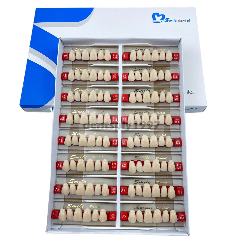 16sets Dental Acrylic Resin Upper Anterior False Teeth Two Layer 20HD Denture