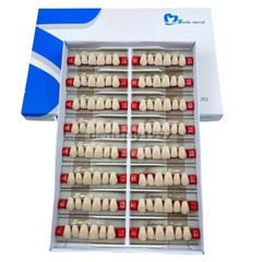 16sets Dental Acrylic Resin Upper Anterior False Teeth Two Layer 20HD Denture