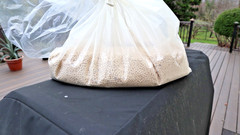 Molecular Sieve, Eleven Pounds (11 lbs) Type 13X 4×8 mesh bead zeolite mSorb