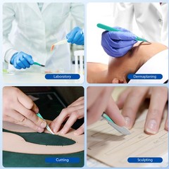 Disposable Sterile Scalpels Stainless Steel Blade/Plastic Handle 4 Models #10-15