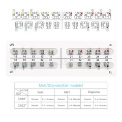 20 Kits Dental Orthodontic Brackets Standard Brace MBT Slot.022 345 Hooks AZDENT