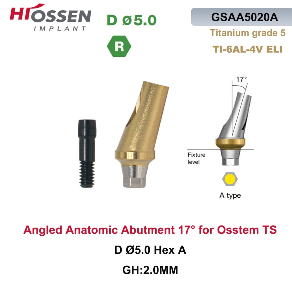 Anatomic Titanium Angulated Abutment 17 Degree Angle Regular Ø5.0mm For Hiossen