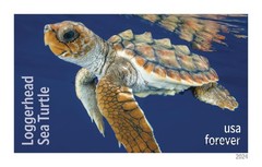 United States Postal Service Protect Sea Turtles 2024 5 Sheets Of 18