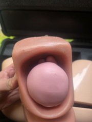 Pro Delphus Surgical Simulator For Urologic Procedures For Male & Female Anatomy