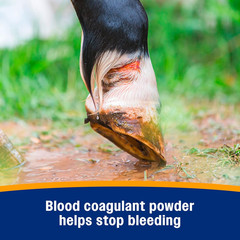 Farnam Wonder Dust Wound Powder, Blood Coagulant for Horses and Show Stock, for
