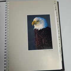 New: Images of Nature Address Book, Featuring Photos by Thomas Mangelsen