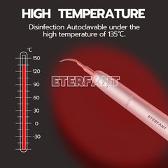 ENTERFANT Dental Ultrasonic Air Perio Scaler Handpiece Hygienist 2H/4H+3Tips