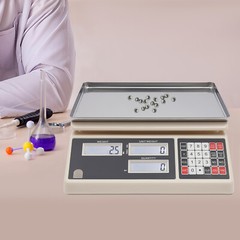 Industrial Counting Scale, 30kg X 0.5g, Digital Scale for Parts and Coins, g/k