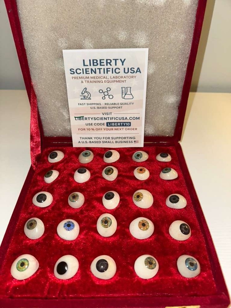 Human Prosthetic Eyes – Mixed Set – 25 to 200 Pcs – Fast USA Shipping