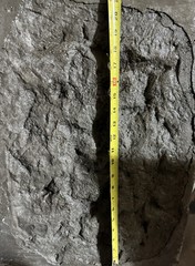 Gabbro Stone Concrete Stamp- Realistic Rock Texture