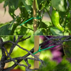 100 Pcs 8 Inch Green Zip Ties Nylon Garden Cable Zip Ties for Fence Plants