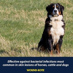 Farnam Wound-Kote Blue Lotion Spray Horse Wound Care for Use on Horses and Dogs,