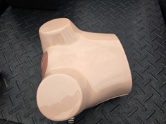 Pro Delphus Surgical Simulator For Urologic Procedures For Male & Female Anatomy