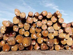 Log & Lumber end Grain Sealer – Prevents up to 90% of end Checks 1 Quart