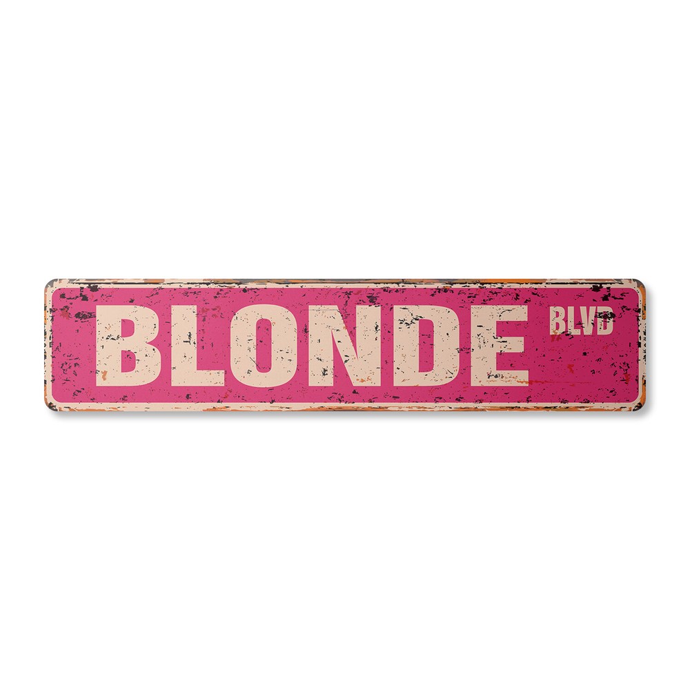 BLONDE BLVD Vintage Street Sign Metal Plastic hair blondie stupid funny blondes