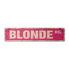 BLONDE BLVD Vintage Street Sign Metal Plastic hair blondie stupid funny blondes