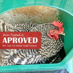 Pecking Order Chicken Nest Box Pads 10 Pack, Made with Great Lakes Aspen Excelsi